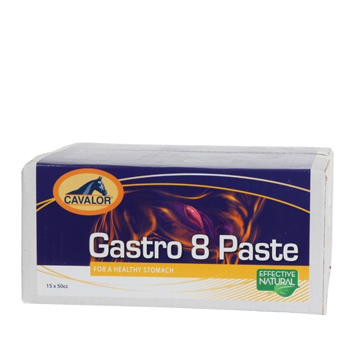    GASTRO 8,  50 