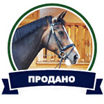 Конный магазин Хвост и Грива Товары для конного спорта и верховой езды Кудинова Елена Максимовна